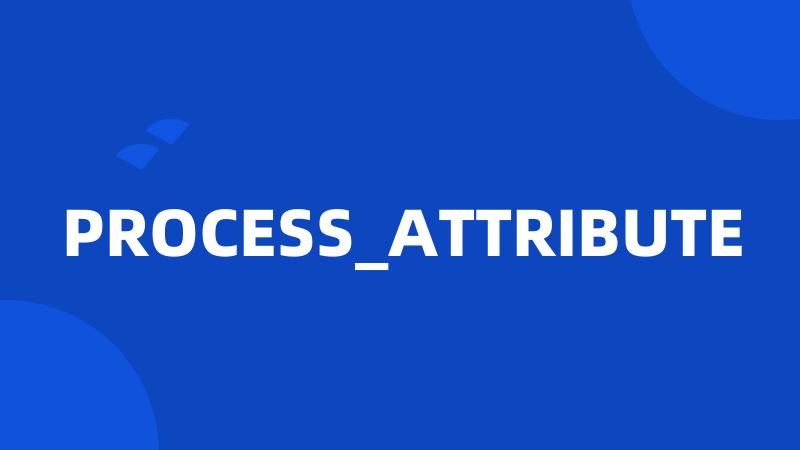 PROCESS_ATTRIBUTE