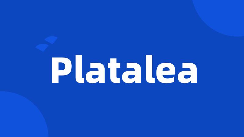Platalea