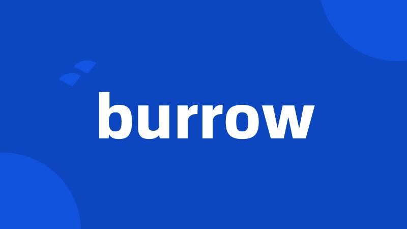 burrow