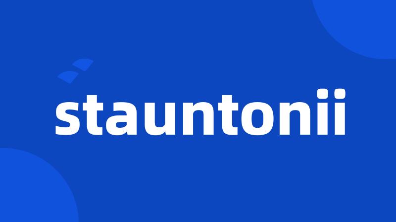 stauntonii