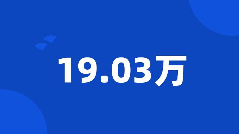 19.03万