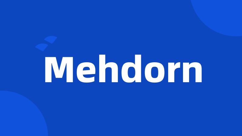 Mehdorn