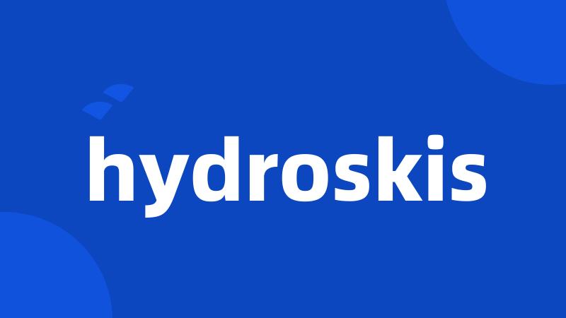 hydroskis