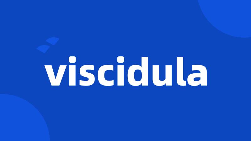 viscidula