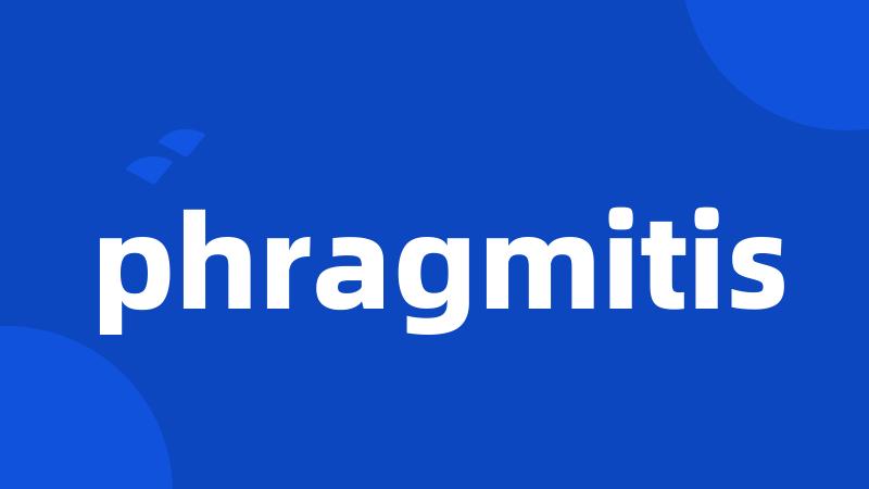 phragmitis