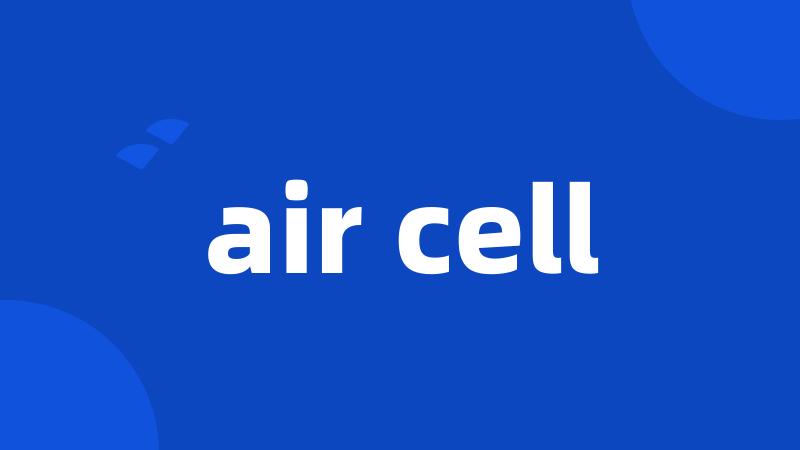 air cell