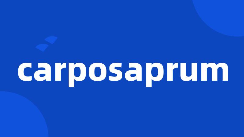 carposaprum