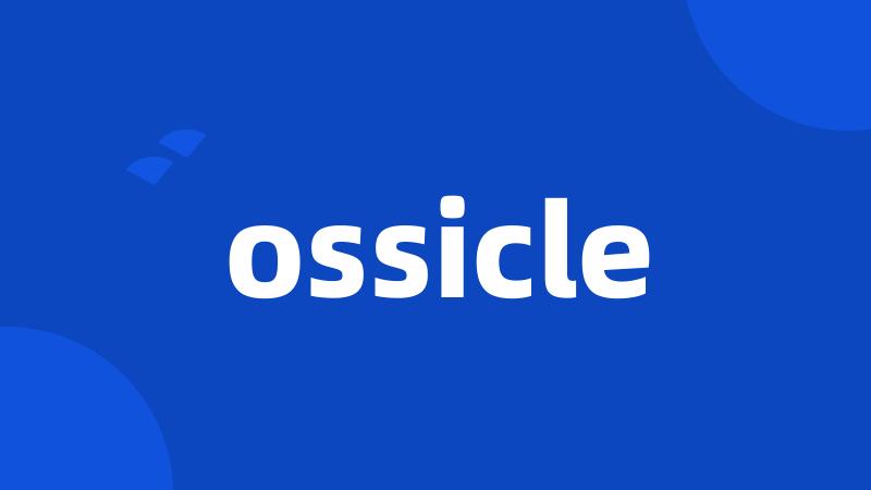 ossicle