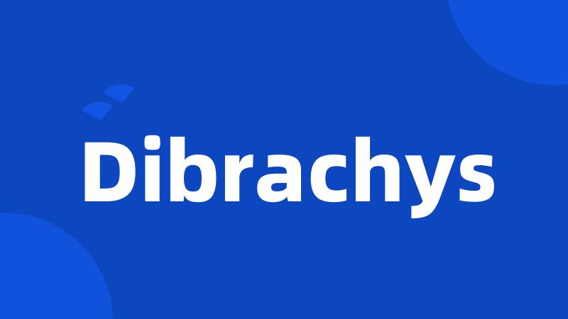Dibrachys