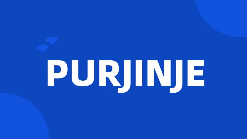 PURJINJE