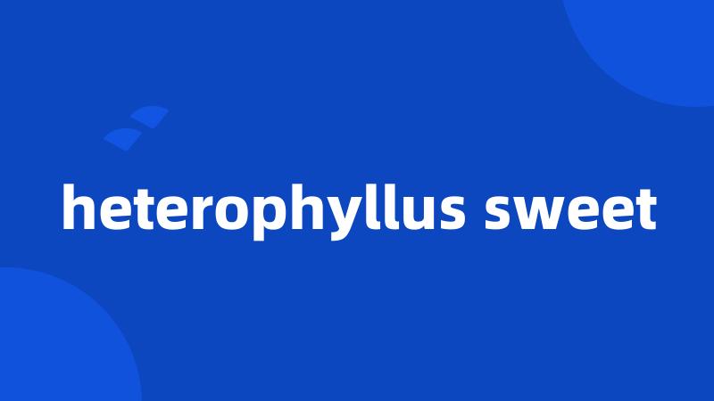 heterophyllus sweet