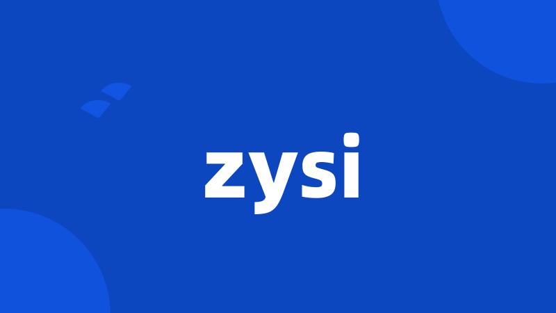 zysi