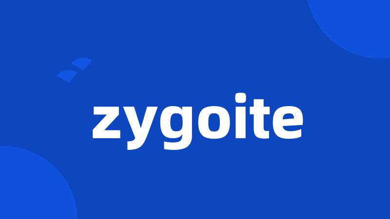 zygoite