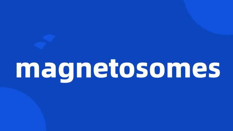 magnetosomes