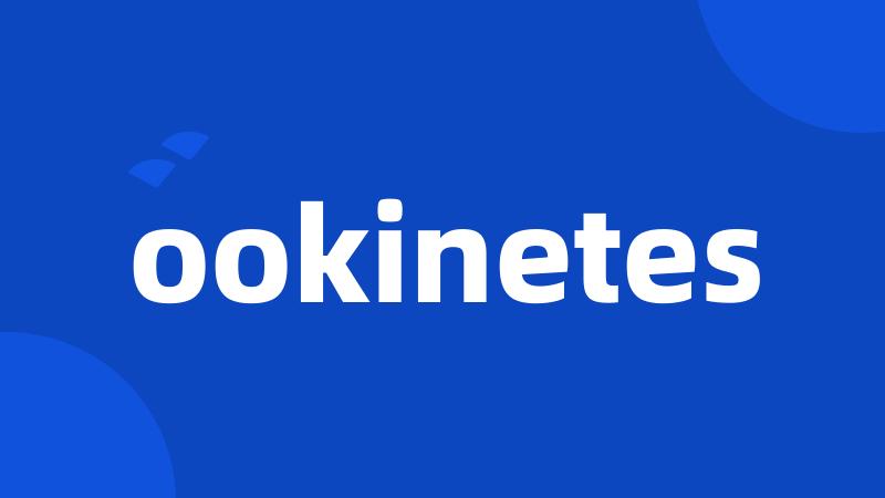 ookinetes