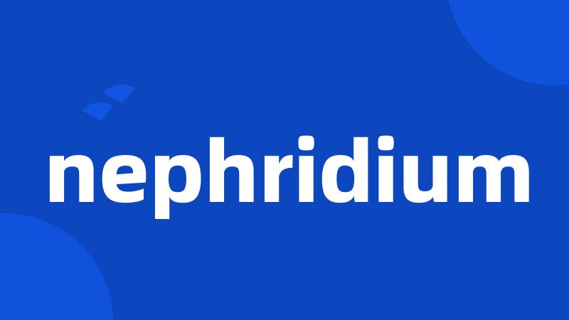 nephridium