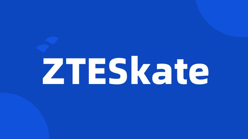 ZTESkate