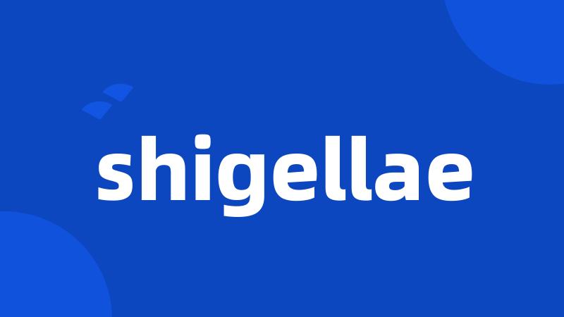 shigellae