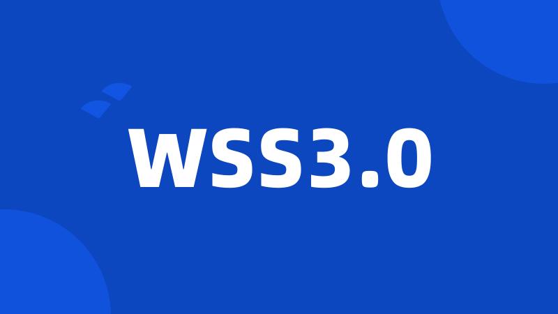 WSS3.0