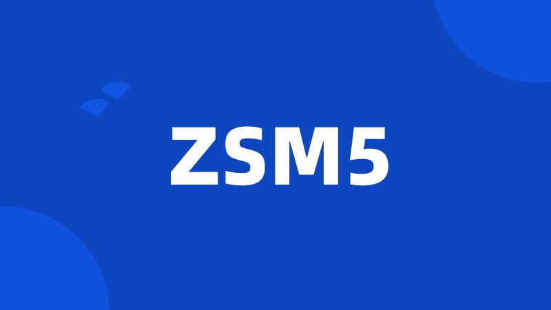 ZSM5