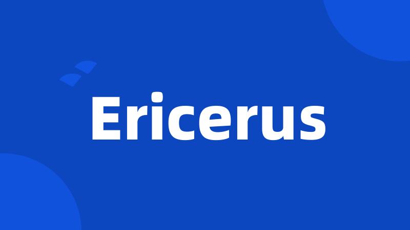 Ericerus