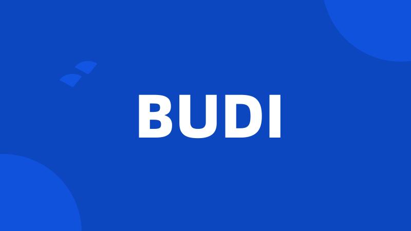 BUDI