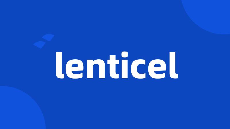 lenticel