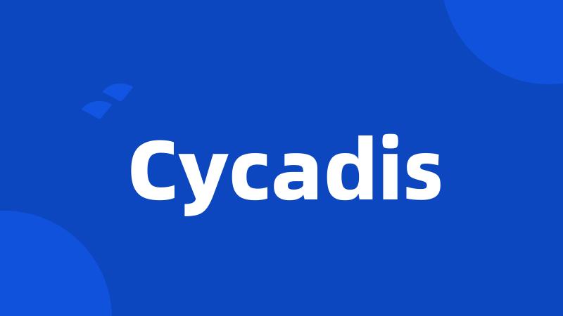 Cycadis