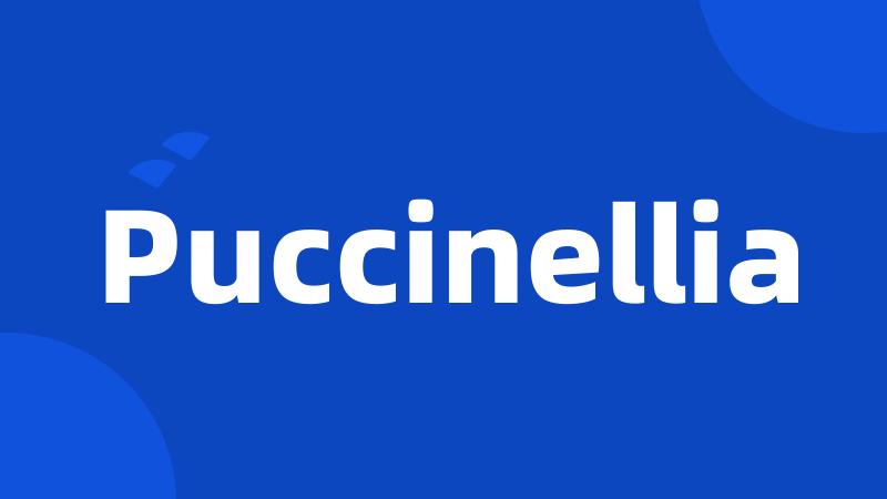 Puccinellia