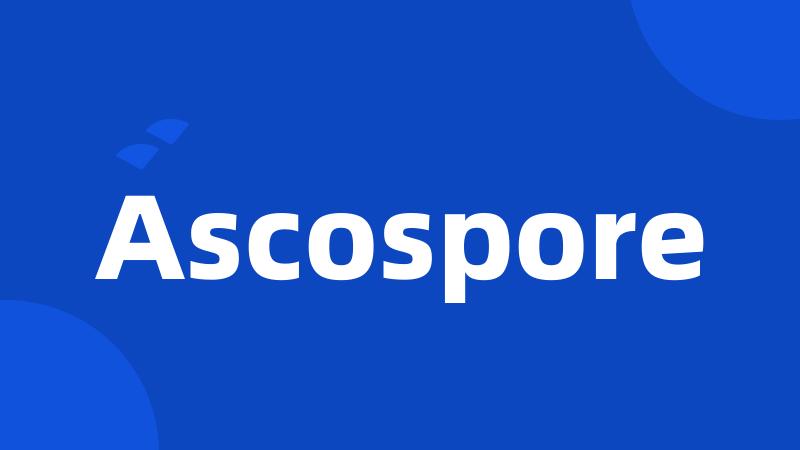 Ascospore