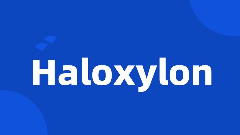 Haloxylon