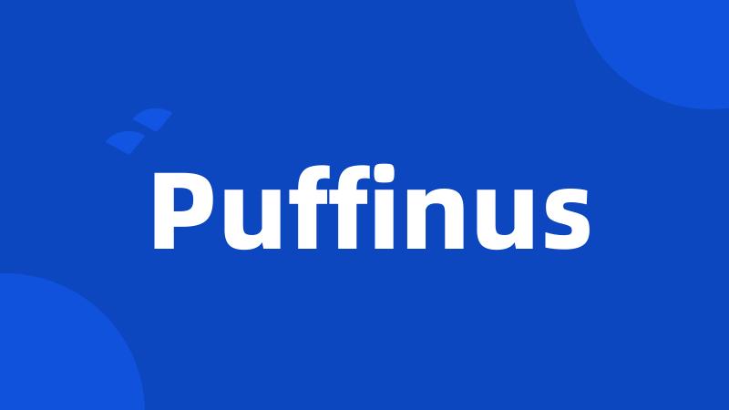 Puffinus