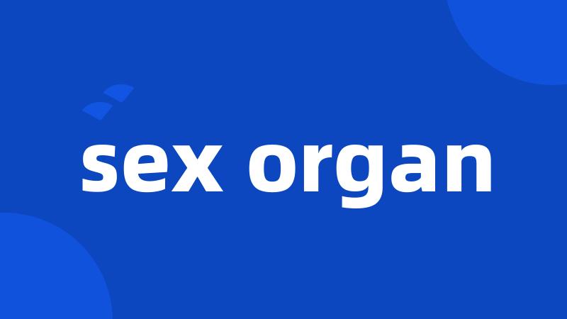 sex organ