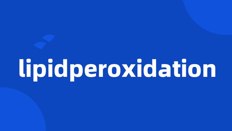 lipidperoxidation