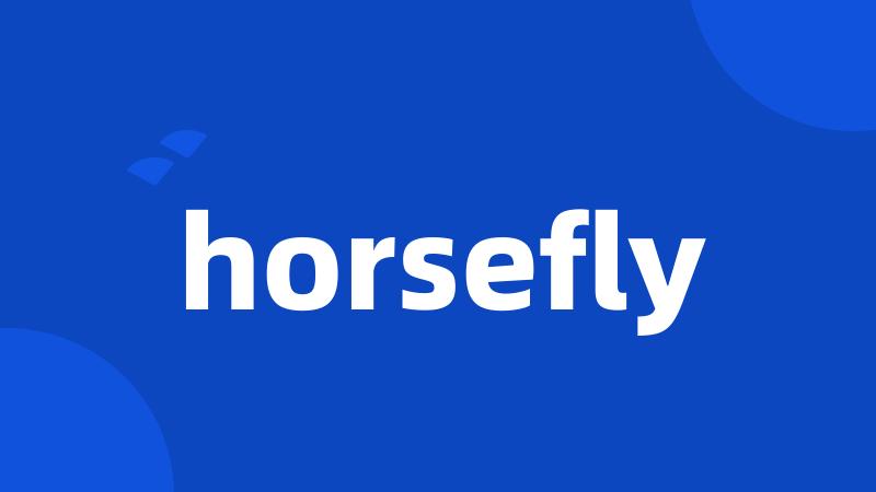 horsefly