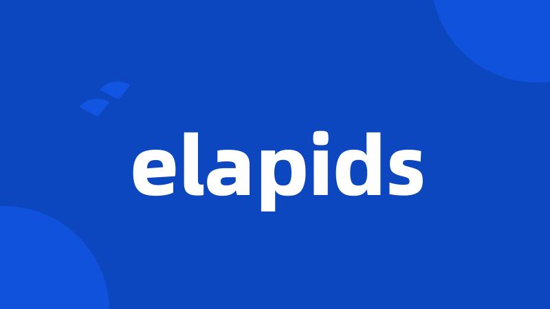 elapids