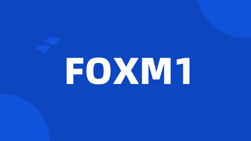 FOXM1