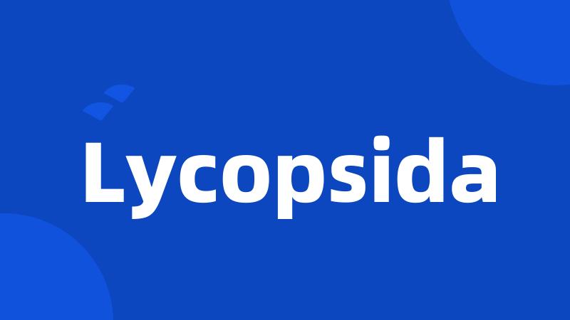 Lycopsida