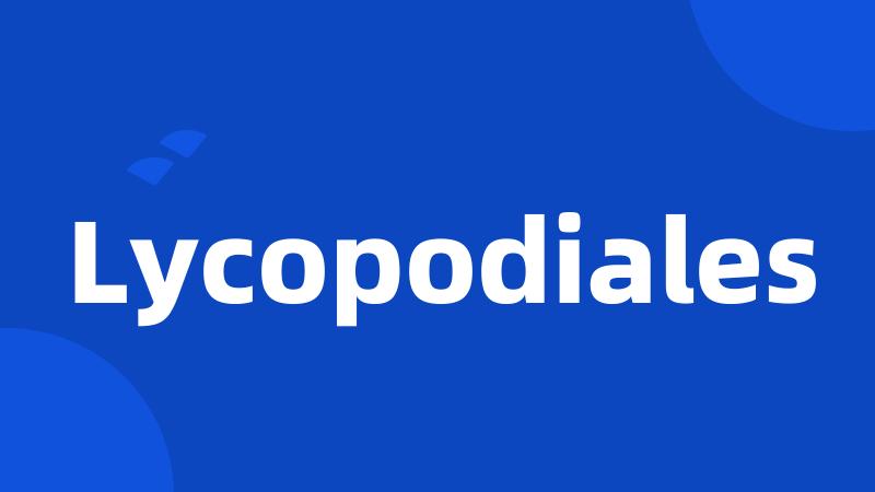 Lycopodiales