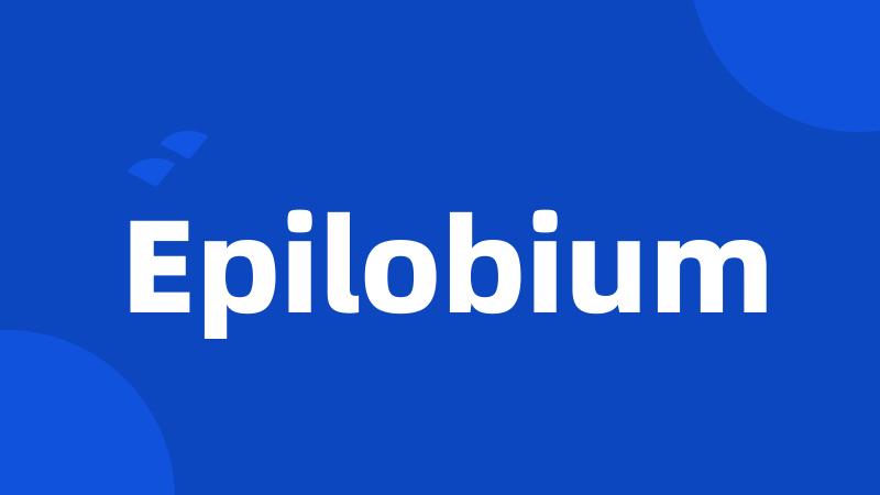 Epilobium