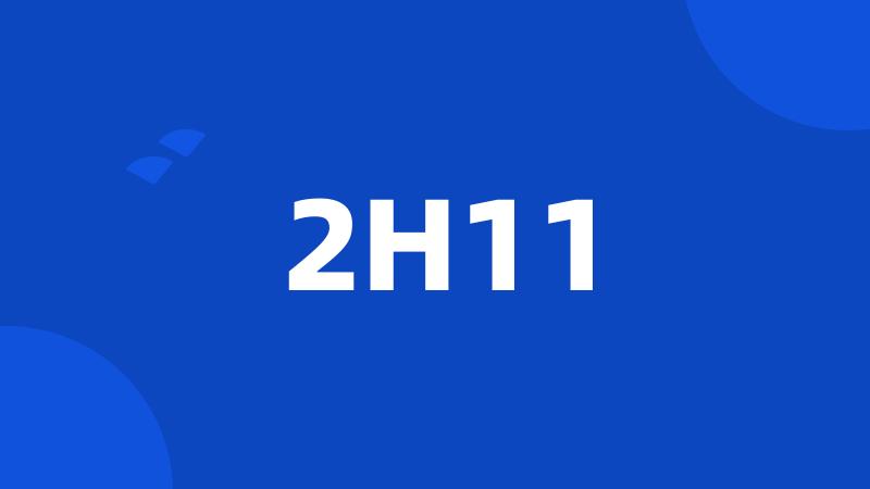 2H11