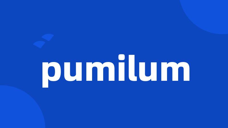 pumilum