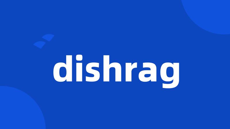 dishrag