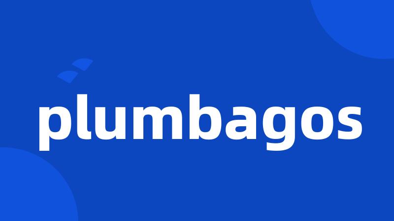 plumbagos