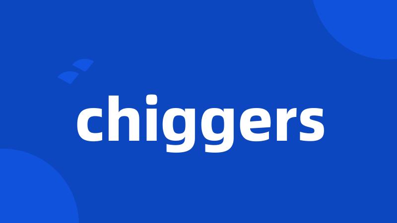 chiggers
