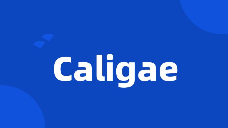 Caligae