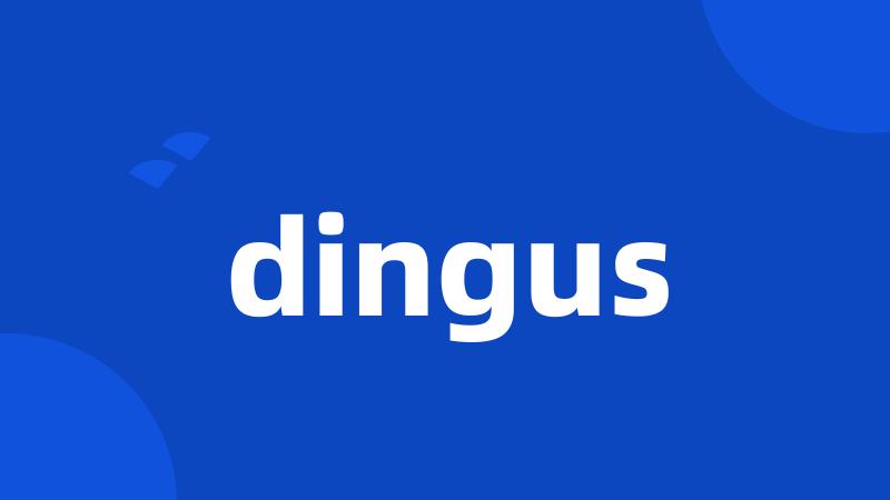 dingus