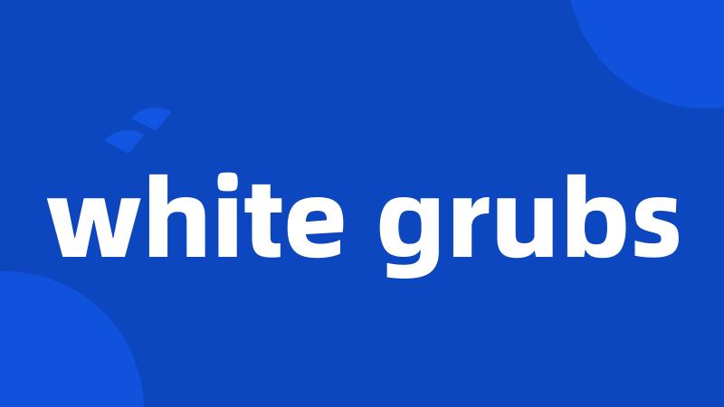 white grubs