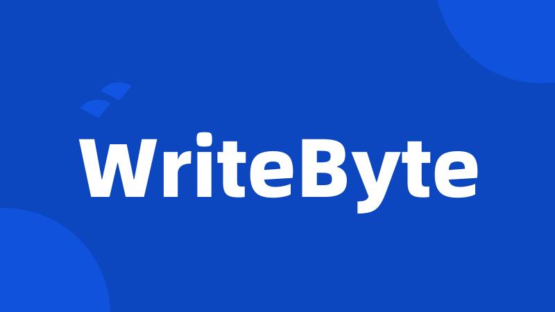 WriteByte