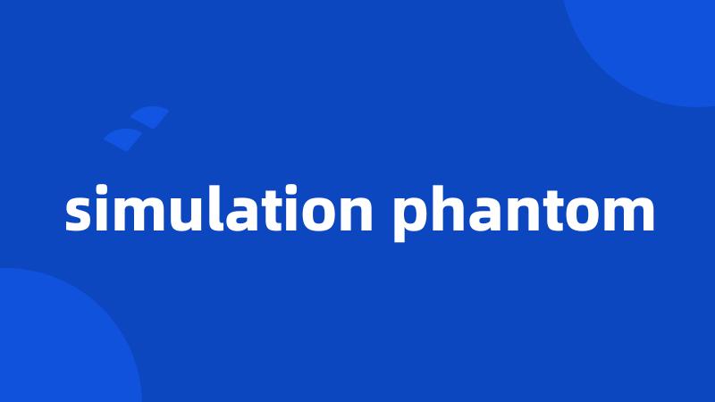 simulation phantom